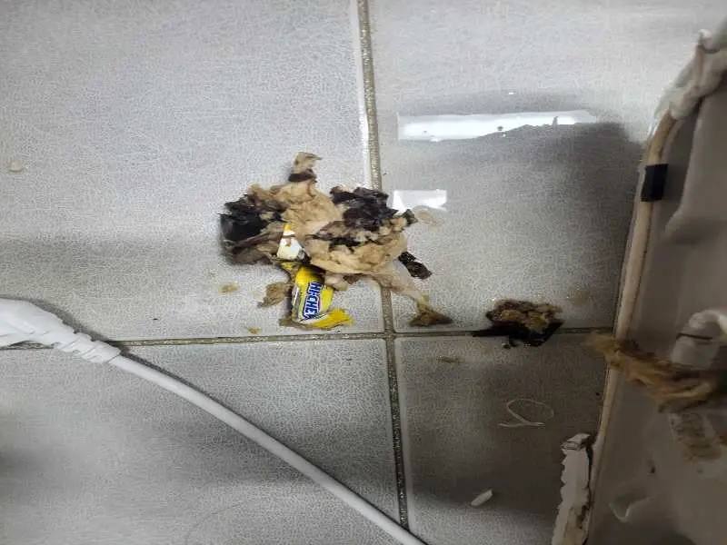 광명변기막힘, 계절과 시기마다 달라지는 원인